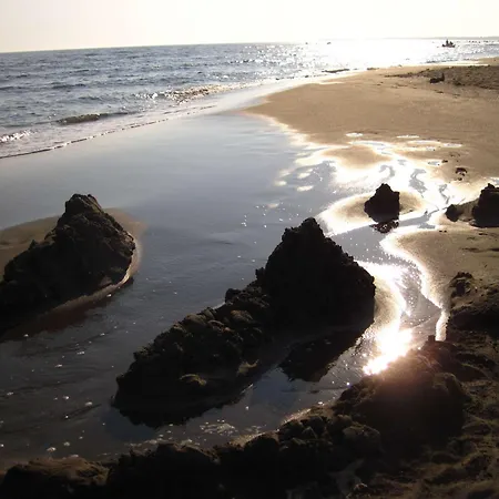 Bed and breakfast Horizont