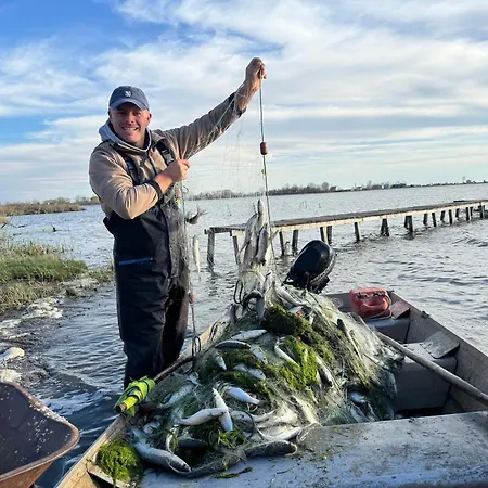 Bed and breakfast Horizont 4*