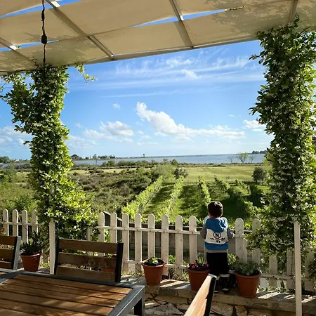 Horizont Baks-Rrjoll