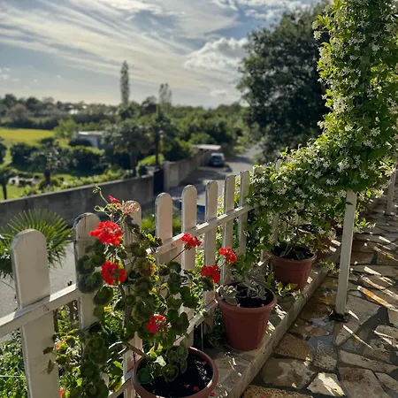 Bed and breakfast Horizont