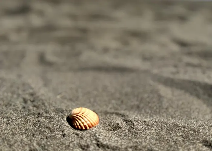 Horizont Nocleg ze śniadaniem Baks-Rrjoll