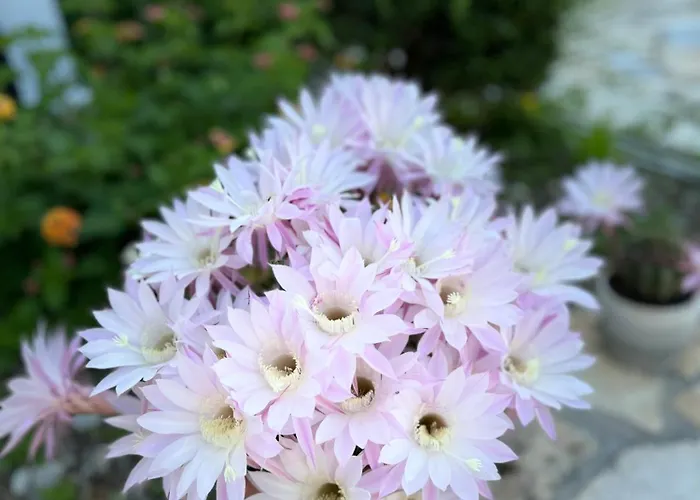 Nocleg ze śniadaniem Horizont 4*