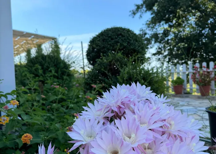 Horizont Nocleg ze śniadaniem Baks-Rrjoll