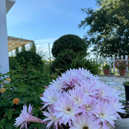 Horizont فندق مبيت وإفطار Baks-Rrjoll