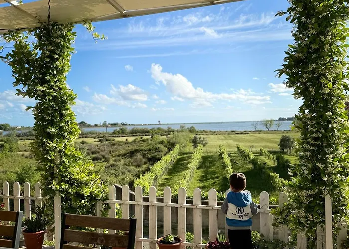 Horizont Baks-Rrjoll